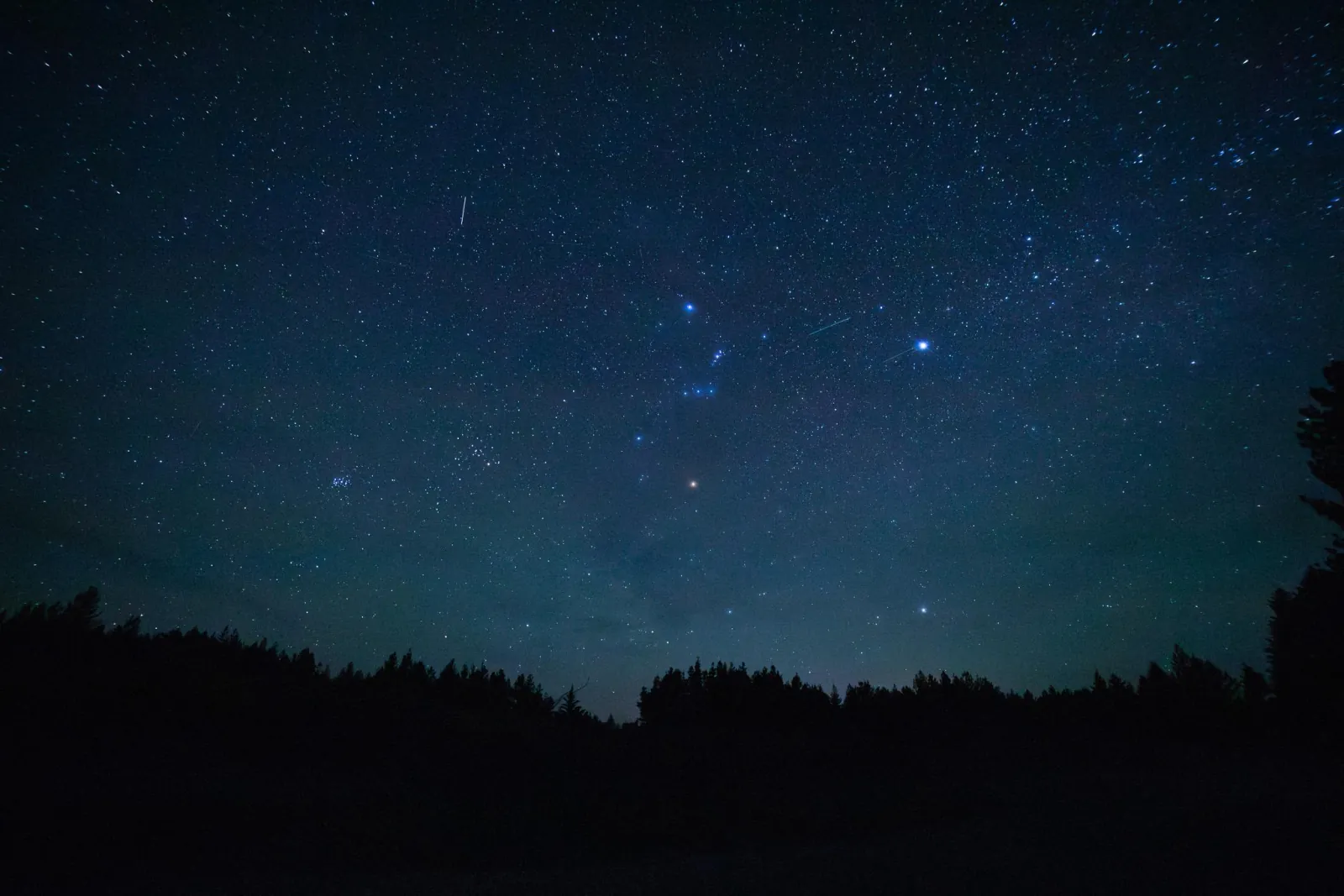 Stars over the dark treeline at the Twizel stargazing site