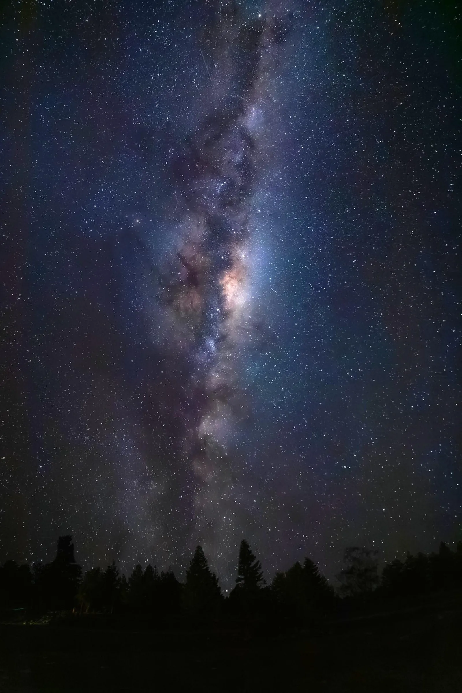 Milky Way core rising above trees near Twizel