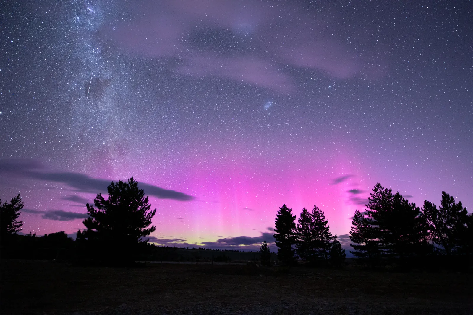 Pink aurora australis glowing over pine trees near Lake Tekapo