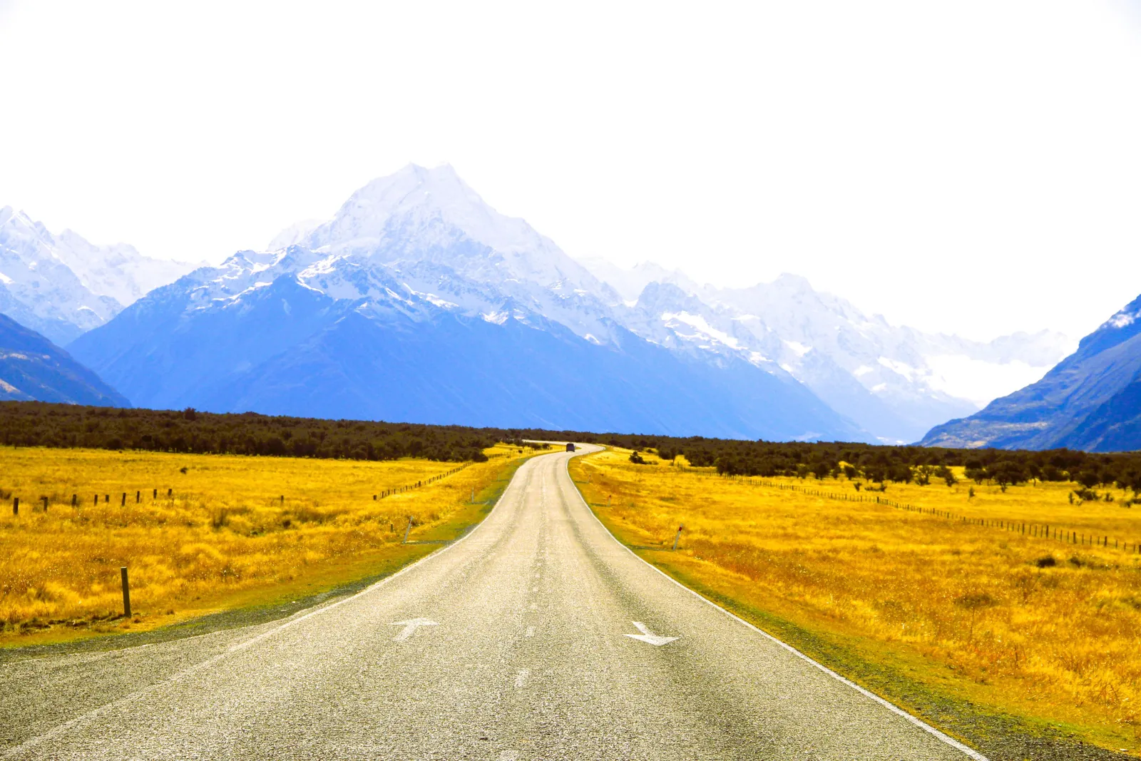 Road through golden tussock towards Aoraki Mount Cook